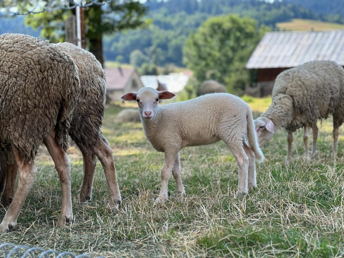 Penzion Hrubjak Oravska Polhora Экстерьер фото